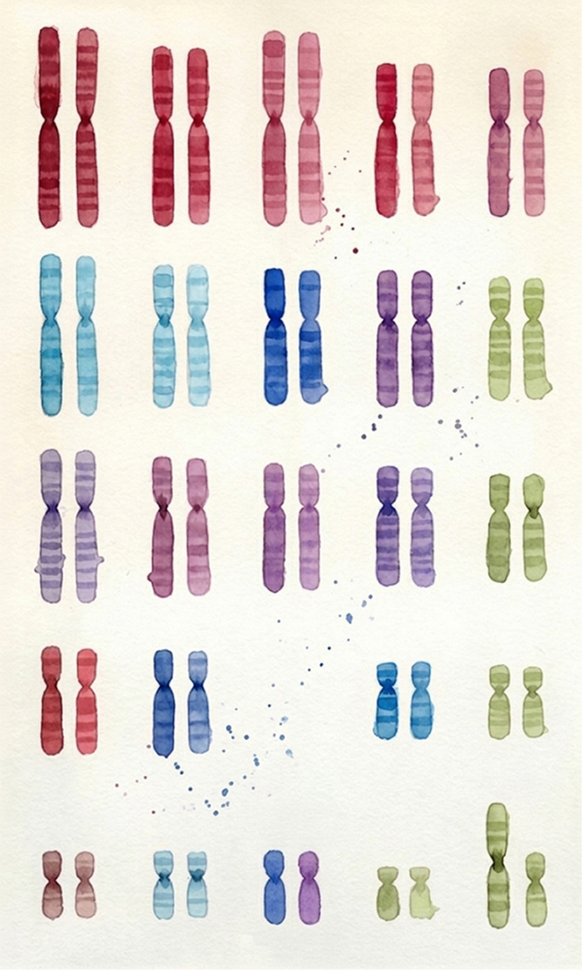 UCGD illustration — chromosomes