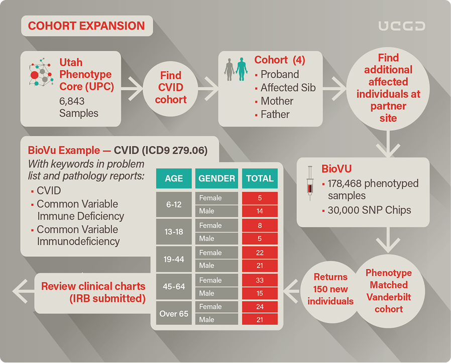 Cohort expansion workflow