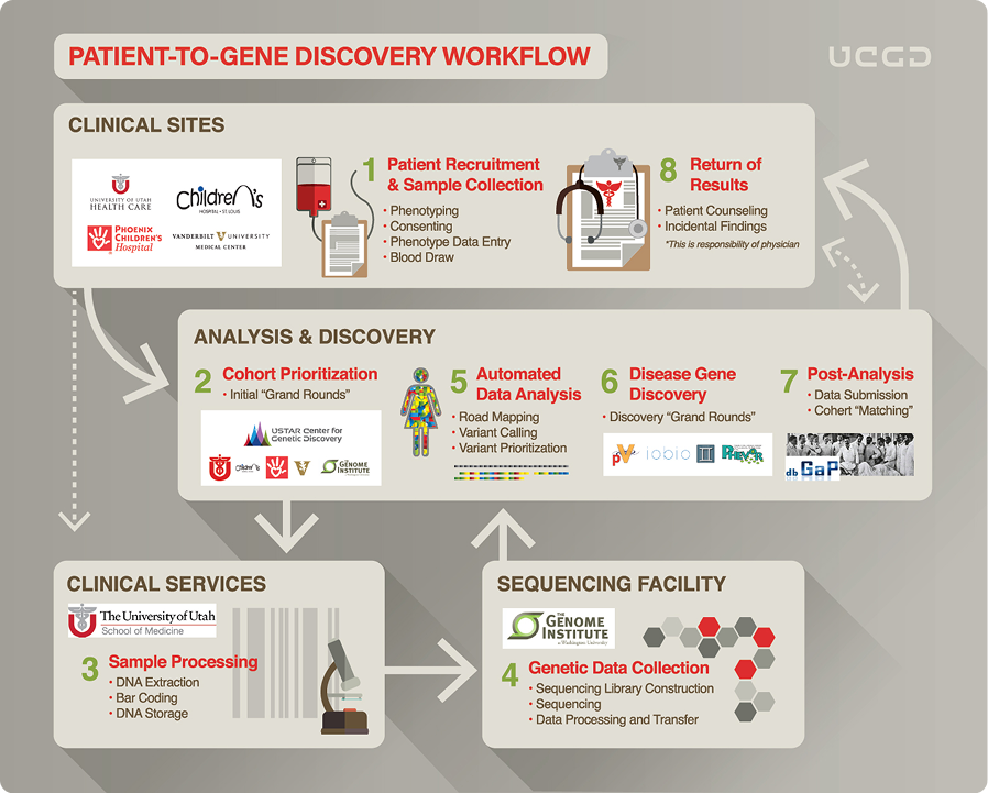 Patient-to-gene discovery workflow